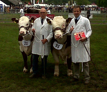 Three Counties Show 2012